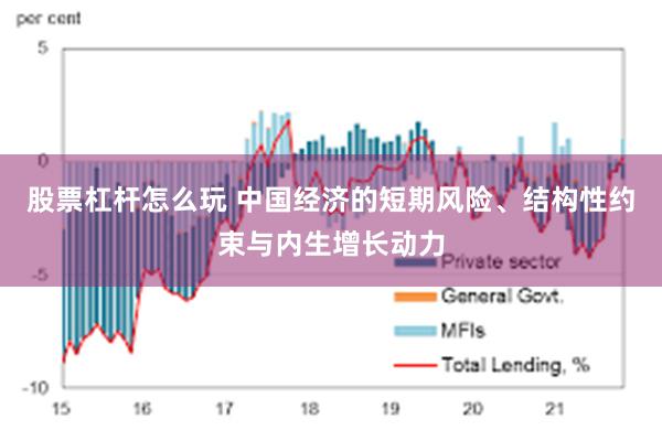 股票杠杆怎么玩 中国经济的短期风险、结构性约束与内生增长动力