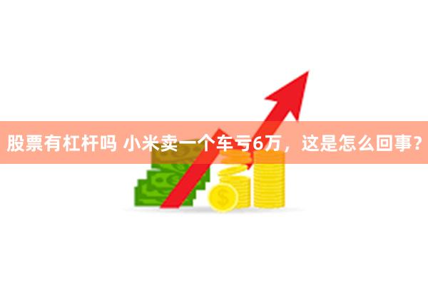 股票有杠杆吗 小米卖一个车亏6万，这是怎么回事？