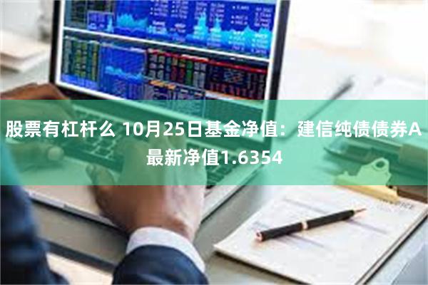 股票有杠杆么 10月25日基金净值：建信纯债债券A最新净值1.6354