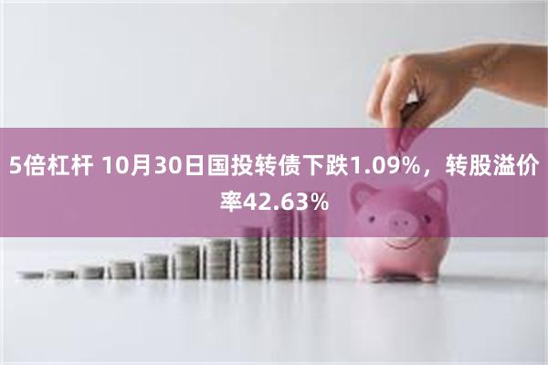 5倍杠杆 10月30日国投转债下跌1.09%，转股溢价率42.63%